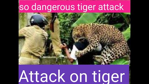 The Best of attack video 2022,most amazing Moment of wild animal fight, wild discovery
