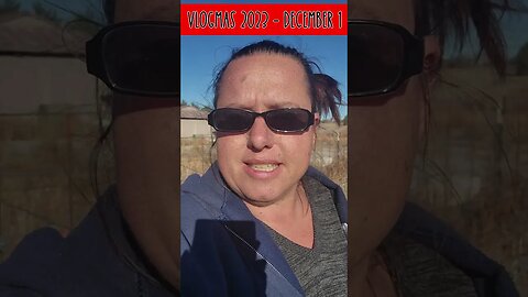 #vlogmas2023 #vlogmas23 Meet the Piglets on the homestead @KrisAndLarry December 1