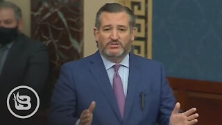 Ted Cruz ERUPTS From Senate Floor Over Claims of Voter Fraud All of America Needs To See
