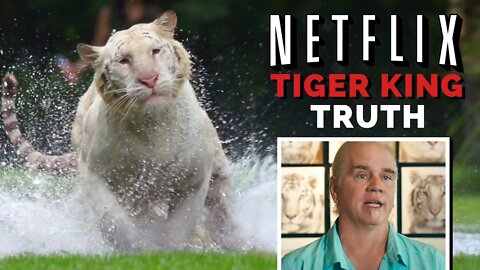 Behind Netflix's Tiger King (Lessons in Creative Video Editing)