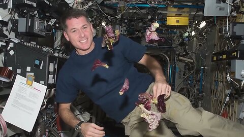 International Space Station Crew Previews SpaceX CRS 23 Science- Aug 27, 2021