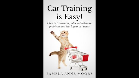 TRAIN YOUR CAT IN FUN WAY AS THEY ARE TRAINING IN CAT TRAINING ACADEMY
