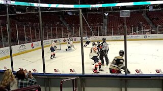 Greenville Swamp Rabbits: John Lethemon #30 with the save.
