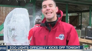 7News at 11AM -- Zoo Lights