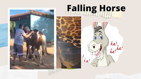 Falling Horse