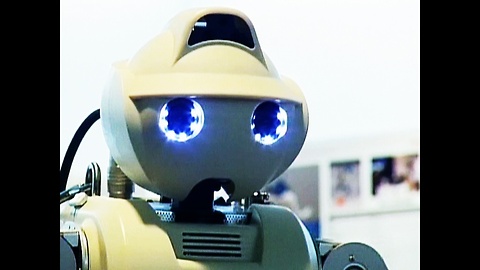 Japanese Robot Of The Year