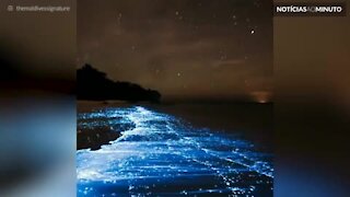 "Mar de Estrelas" existe nas Maldivas