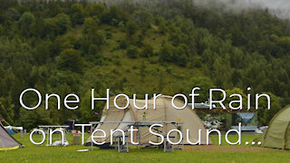 One Hour of Rain on Tent Sound...