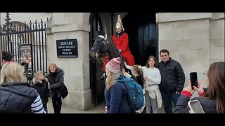 The Horse made them jump #horseguardsparade