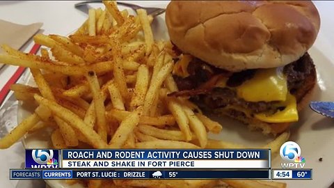 DIRTY DINING: Roaches, insects found at Fort Pierce Steak 'n Shake & 'The Spot' in Palm Beach Co.