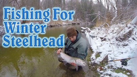 Fantastic Day Winter Steelhead Fishing With An Old Friend! | Big Fish Day!