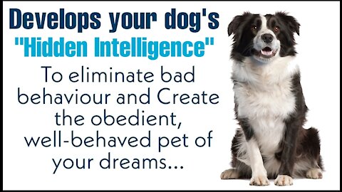 Develops your Dog's "Hidden Intelligence"