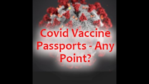 Covid Vaccine Passports - Any Point?