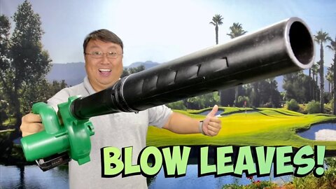 Best Cordless Tiny Leaf Blower Review