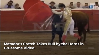 Matador's Crotch Takes Bull by the Horns in Gruesome Video