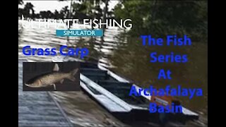 Ultimate Fishing Simulator: The Fish - Archafalaya Basin - Grass Carp - [00032]