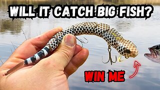 Bass Fishing With A SNAKE Lure! {Will it Catch BIG FISH?}