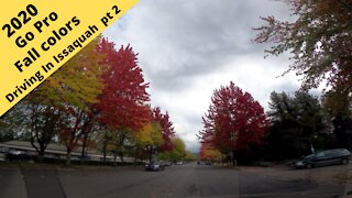 Issaquah Washington: Go Pro Driving, fall colors 2020 part 2