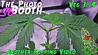 The Photo Booth S6 Ep. 3 | Veg 3 & 4 | Another Topping Video