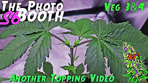 The Photo Booth S6 Ep. 3 | Veg 3 & 4 | Another Topping Video