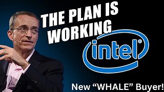 Buy Intel Stock: New “Whale” Buyer!