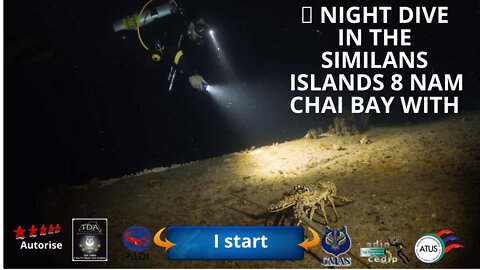 🤿Night dive in the Similans Islands 8 nam chai bay