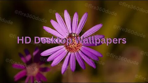 Nature Desktop Wallpapers #wallpaper #nature #insects
