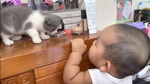 Cute Baby And Cat Play Together Too Funny | Viral Pet