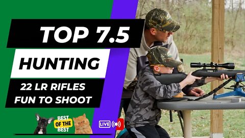 Top 10 Best 22LR Rifles: Amazingly Powerful & Fun to Shoot