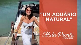 Conheça um dos melhores pontos de mergulho do estado do Rio de Janeiro com Patty Leone | MALA PRONTA