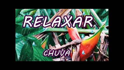 3 Hs 🎶Música para Dormir com Som de Chuva e Natureza - RELAXAR, DESCANSAR e Acalmar a Mente 🐦🙏