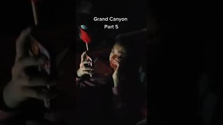 Grand Canyon Part 6 GreenMangoes #viral #shorts #viralshorts #grandcanyon #camping #roadtrip