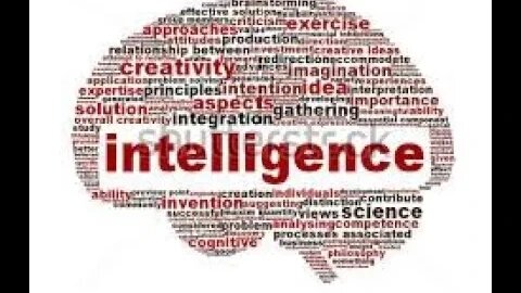 Essay Class no .6 CSS || PMS || What is Intelligence.