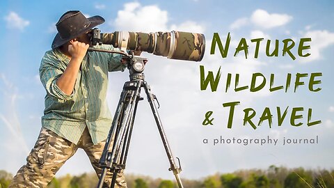 Nature, Wildlife & Travel Photography Journal - Asia | Africa | North America
