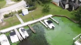 Martin County officials hoping to start cleaning algae by the end of week