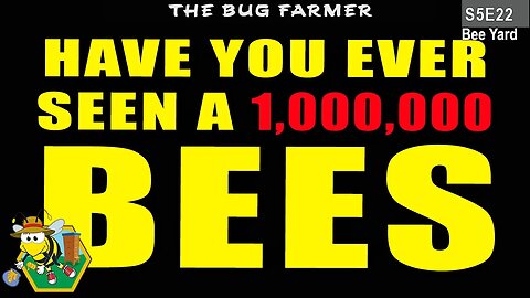 Inspecting a MASSIVE Swarming Hive | In case you missed it. #bees #beekeeping