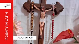 Rosary in Latin, Adoration with Christine - Tue, Oct. 17 2023