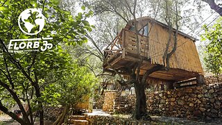 Tiny Treehouse Village made from Free Materials in Greece