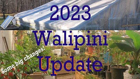 Wisconsin Walipini 2023: Big Changes!