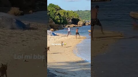 How did he Missed The Jump😂😂 #jamaica #shortsfeed #nature #fy #travel #youtubeshorts #shortviral