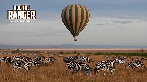 Balloon Rides Pass Over Migrating Herds | Lalashe Maasai Mara Safari