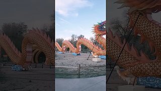 Desert Dragon