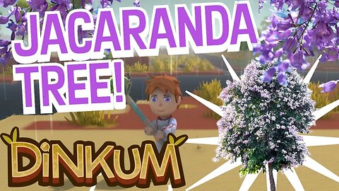 Dinkum Bloomin Spring How to Get Jacaranda Tree