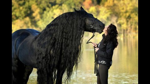 HOUR of AMAZING HORSES From Around the World - Best Relax Music, Meditation, Stress Relief, Calm