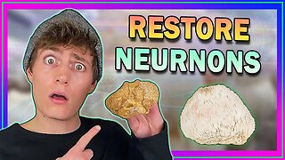 𝗟𝗜𝗢𝗡'𝗦 𝗠𝗔𝗡𝗘: The Fungus That Regenerates Brains Cells!