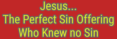 Jesus The Perfect Sin Offering Who Knew No Sin