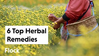 6 Popular HERBAL REMEDIES Right Now — Ep. 138