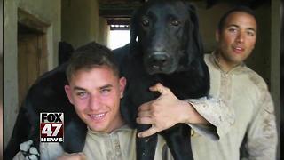 Marine dog with cancer gets tear-filled farewell