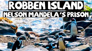ROBBEN ISLAND: NELSON MANDELA'S PRISON IN CAPE TOWN || TRAVEL SOUTH AFRICA