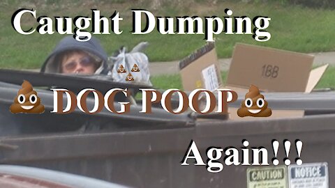 Caught Dumping Dog POOP in My Dumpster Daily!!!!